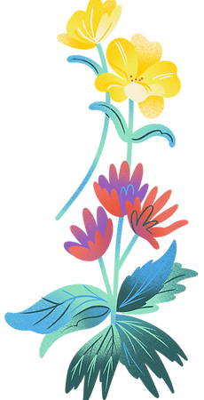 1 Flower Cluster.png